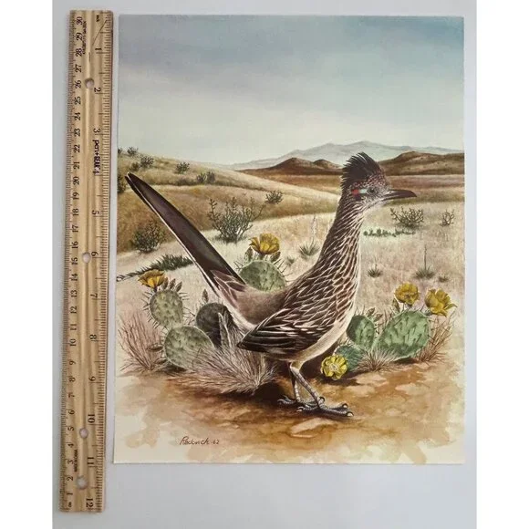 Roadrunner Art Print Radovich 1962 Framed 8x10 Desert Landscape Cactus Flowers - Picture 6 of 7